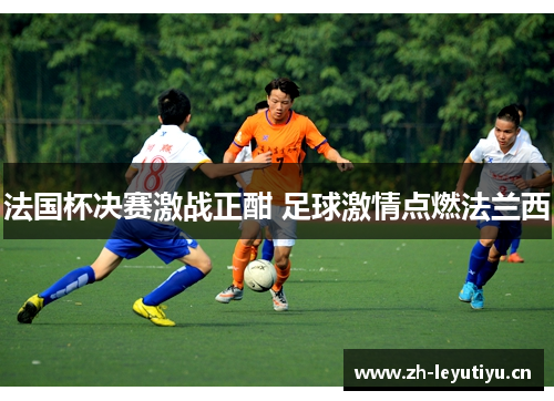 法国杯决赛激战正酣 足球激情点燃法兰西 法国杯决赛激战正酣 足球激情点燃法兰西