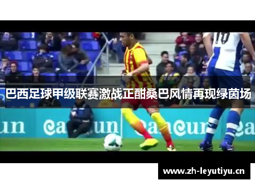 巴西足球甲级联赛激战正酣桑巴风情再现绿茵场 巴西足球甲级联赛激战正酣桑巴风情再现绿茵场